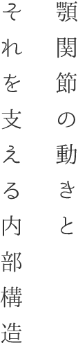 顎関節の動きとそれを支える内部構造