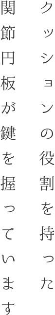 クッションの役割を持った「関節円板」が鍵を握っています