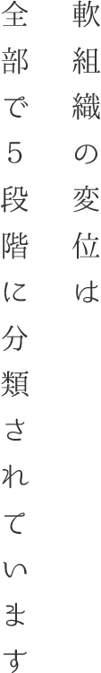 軟組織の変位は全部で5段階に分類されています